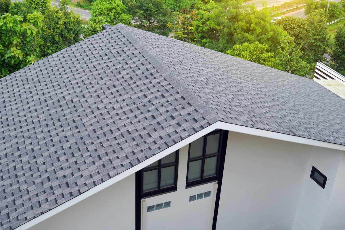 High-angle view of a modern house with steep gray asphalt shingle roof surrounded by lush green trees